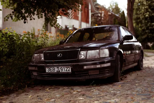 카지노 캄포 벳 안드로이드/iOS 앱